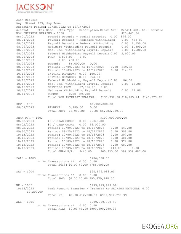 Modèle Word et PDF de relevé de la banque nationale USA Jackson, 2 pages